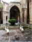 Barcelone,Barri Gotic, Cathdrale, le clotre
