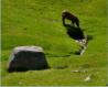 Plateau d'Ese, Valle des Pozzi