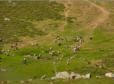 Plateau d'Ese