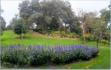 La Baule, parc des Dryades