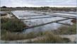 Gurande, marais salants
