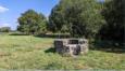 Saint-Lyphard, Kerhinet, parc rgional de la Brire