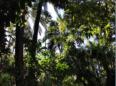 Marrakech, le jardin Majorelle