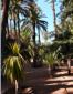 Marrakech, le jardin Majorelle