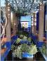 Marrakech, le jardin Majorelle