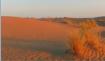 au pied du Sahara