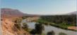 palmeraie dans la valle du DRAA