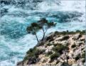 Calanque de Sormiou