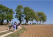 Chemin des champs