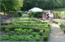 Au potager
