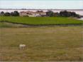 Aigues Mortes