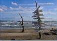 Autour du Grau du Roi, plage de l'Espiguette