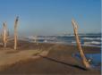 Autour du Grau du Roi, plage de l'Espiguette