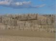 Autour du Grau du Roi, plage de l'Espiguette