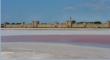 Aigues Mortes vu des salins