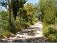 Camargue, Centre de dcouverte de la Scamandre