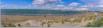 le Grau du Roi, la plage