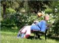 Sieste des pouvantails