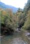 Luz-Saint-Sauveur; gave de Gavarnie