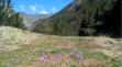 Cirque de Gavarnie