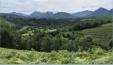 Lanne-en-Bartous; monte aux palombires d'Ayduc