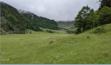 Laruns; Du lac de Bious-Artigues au refuge d'Ayous