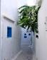Hammamet