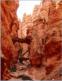 Utah, Parc Notional de Bryce Canyon
