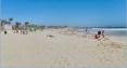 Los Angeles, plage Venice