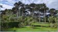 Ile de Batz, Jardin Delaselle