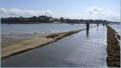 Carantec, le Callot