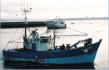 Bateaux de pche  Douarnenez