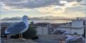 Cannes, Le Suquet