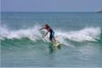 surf
