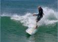 surf