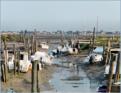 Ile de R