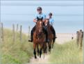 Ile de R, gendarmerie  cheval