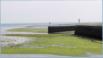 Ile de R, l'estran et entre du port de Saint-Martin-de-R