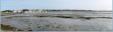 Ile de R, paysage de Loix