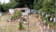 Ile de R, collection insolite