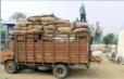 Rajasthan, chargement de pommes de terre
