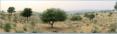 Rajasthan, dsert du Thar