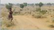 Rajasthan, dsert du Thar