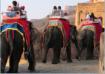 Rajasthan, Jaipur, Fort Amber, promenade  dos d'lphant