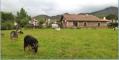 Pays Basque, prs de Sare