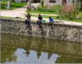 Marais Poitevin