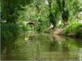 Marais Poitevin